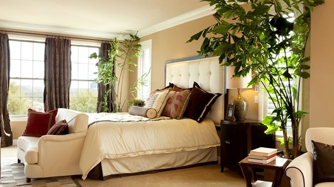 Mare atenţie! De ce NU este bine să ții plante în cameră noaptea