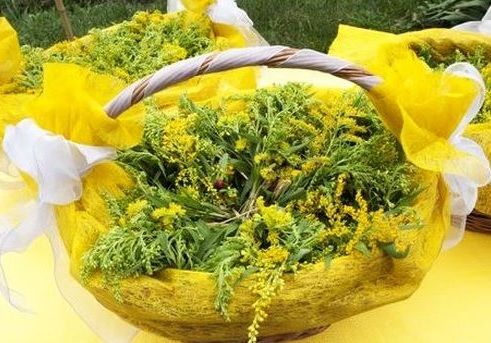 În Noaptea de Sânziene fetele îşi visează ursitul. Ce trebuie să facă înainte de a se culca