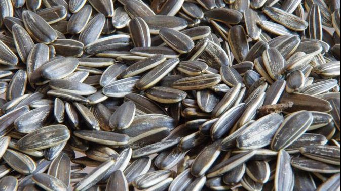 10 beneficii incredibile ale semințelor de floarea-soarelui