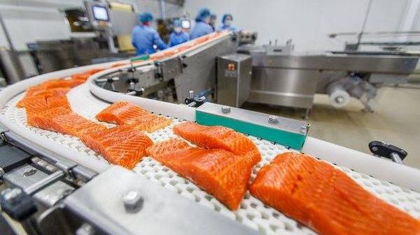 Toxicolog: "Somonul de crescătorie – cel mai toxic aliment din lume!”