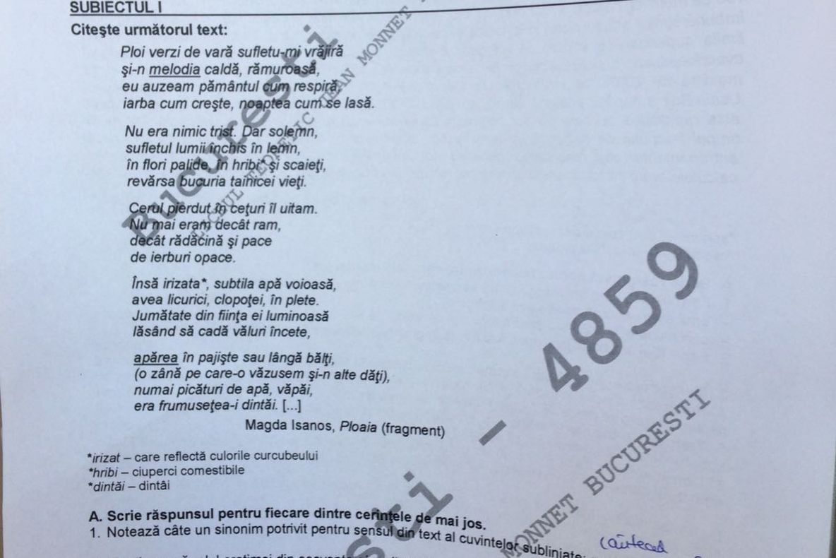Barem romana Evaluare Națională 2017. Subiecte transcrise: Texte Magda Isanos și Terra Magazin