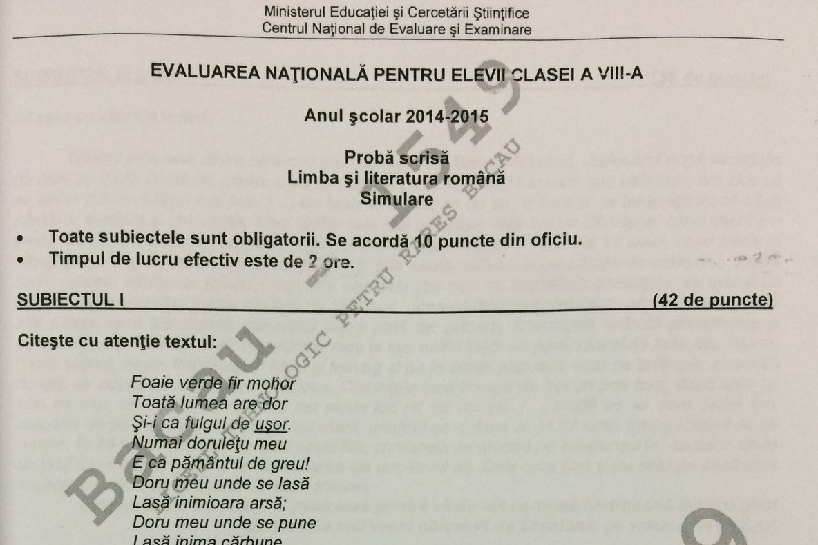 Subiecte romana Capacitate 2017 – Elevii de clasa a 8-a nu au fost pusi in dificultate