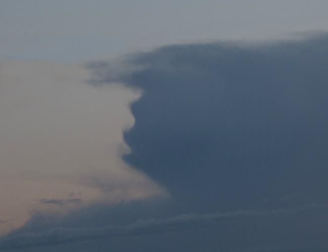 Ce a surprins un fotograf amator, pe CER - "Seamănă cu....". Toată lumea a râs!