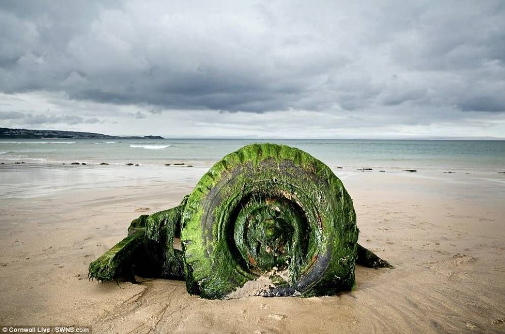 Apariţie ULUITOARE pe o plajă - un bolid îngropat în nisip a ieşit la lumină după 30 de ani 