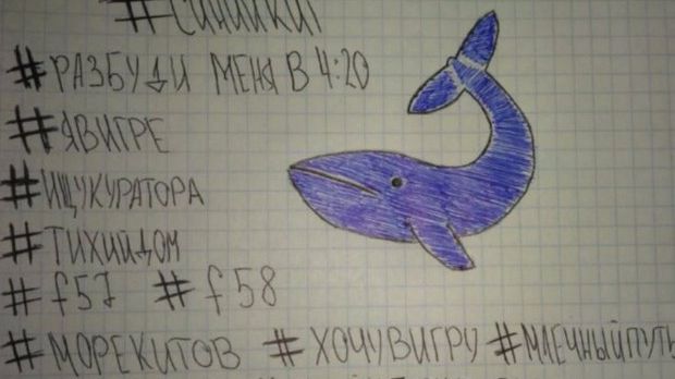 Decizia DIICOT în dosarul ”Balena Albastră”: Sinuciderile nu au legătură cu jocul 