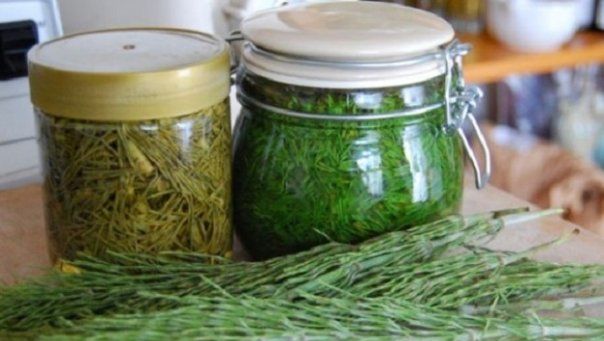 Planta care vine de previne cancerul