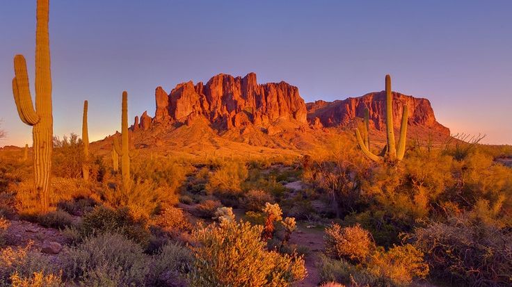 Caz şocant. Fetiţă de 10 ani, lăsată de tatăl ei în deşert, fără apă sau papuci