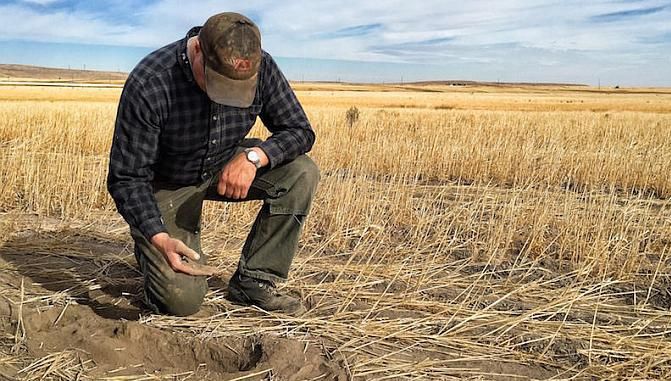 Seceta face ravagii. Situație disperată și nemaîntâlnită în județul Alba. Decizia radicală luată de autorități