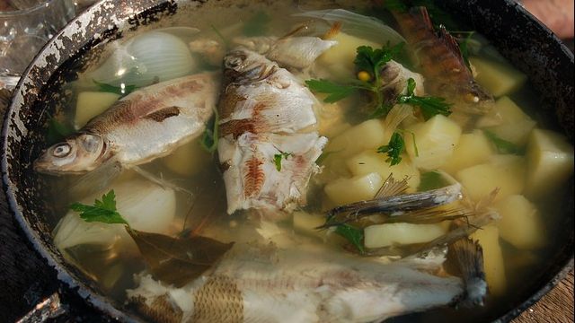 Renunță la supa de pește! Cum te poate îmbolnăvi