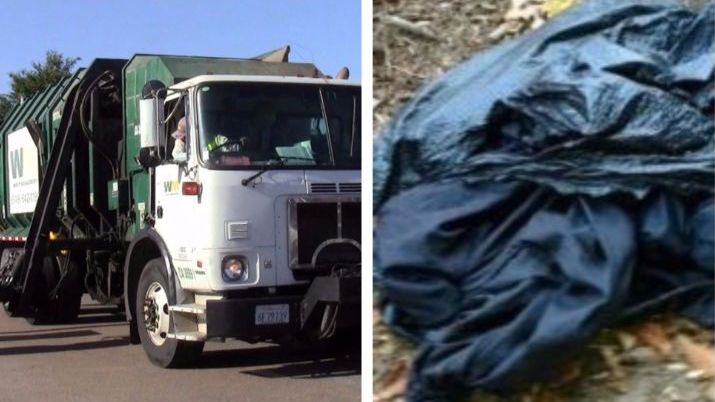 Se pregăteau să compacteze gunoiul când dintr-o pungă neagră s-a auzit urletul. Au deschis și..