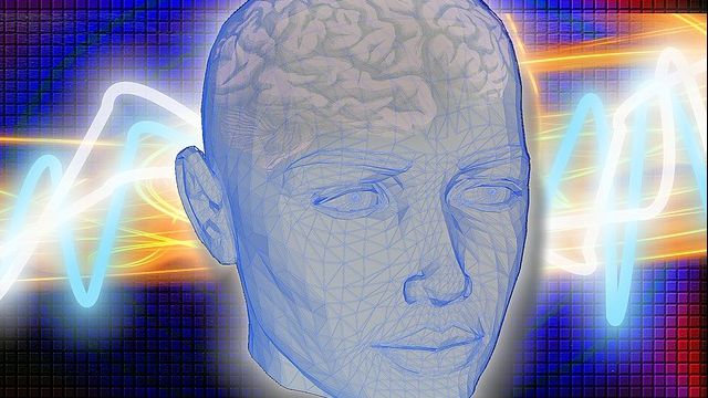  Alimentele care ne ajută să ne păstrăm creierul în formă maximă