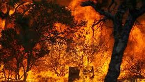 Un restaurant din cadrul unui complex turistic, în flăcări