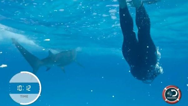 Așa ceva nu s-a mai văzut! A intrat în apă și s-a luat la întrecere cu o fiară a adâncurilor