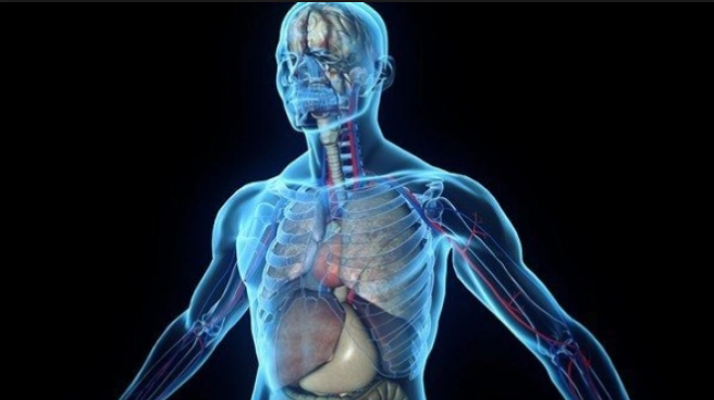 Care este cel mai murdar loc al corpului. Toți oamenii neglijează această zonă