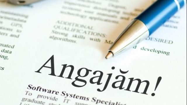 Clasamentul domeniilor cu cele mai multe locuri de muncă disponibile la ora actuală, din România 