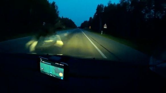 Conducea liniștit pe șosea, când deodată... ȘOC! A crezut că l-a omorât