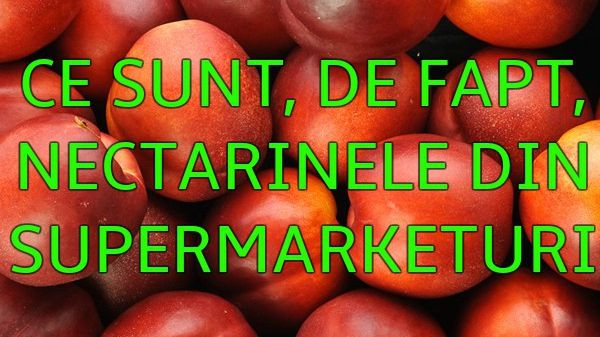 Adevărul despre nectarine. Un nutriţionist spune marele secret despre aceste fructe