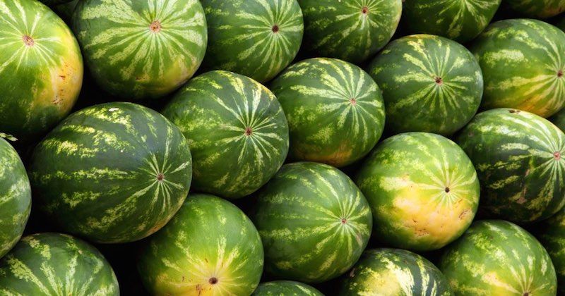 Cum să alegi cel mai bun pepene. Trucul pe care toată lumea trebuie să îl ştie