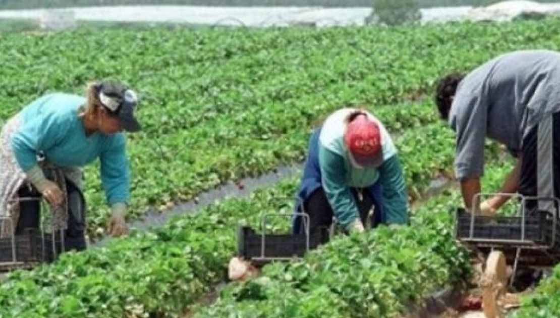 Se întâmplă și în Germania! Unii români sunt SCLAVII patronilor nemți