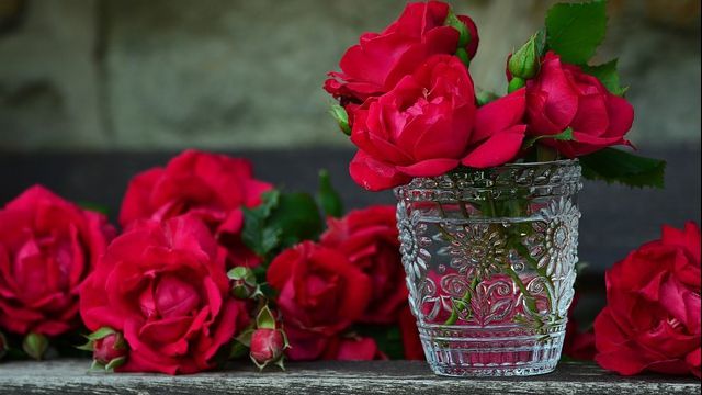 Ce să pui în vaza cu flori pentru ca plantele să nu se mai ofilească