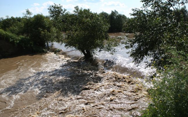 Imagine ULUITOARE: aşa ceva nu s-a mai văzut în NATURĂ. Cum s-au salvat iepurii de viitură