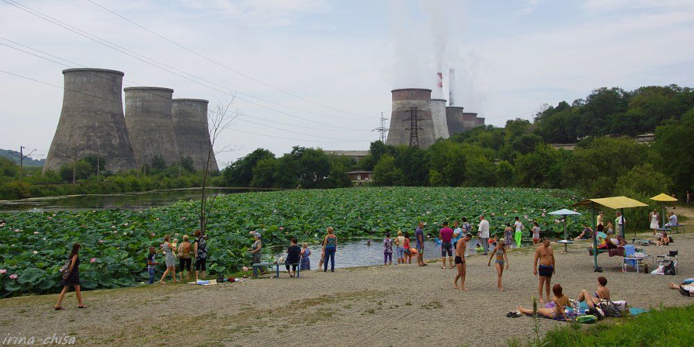 Când i-au spus "Hai la scăldat" nu aștepta asta. Imagini de pe cea mai stranie plajă din lume