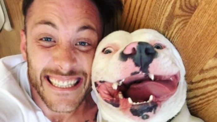 A adoptat un pitbull. A pus poza pe Facebook.S-a trezit cu poliţia la uşă.ŞOC!Ce animal era, de fapt