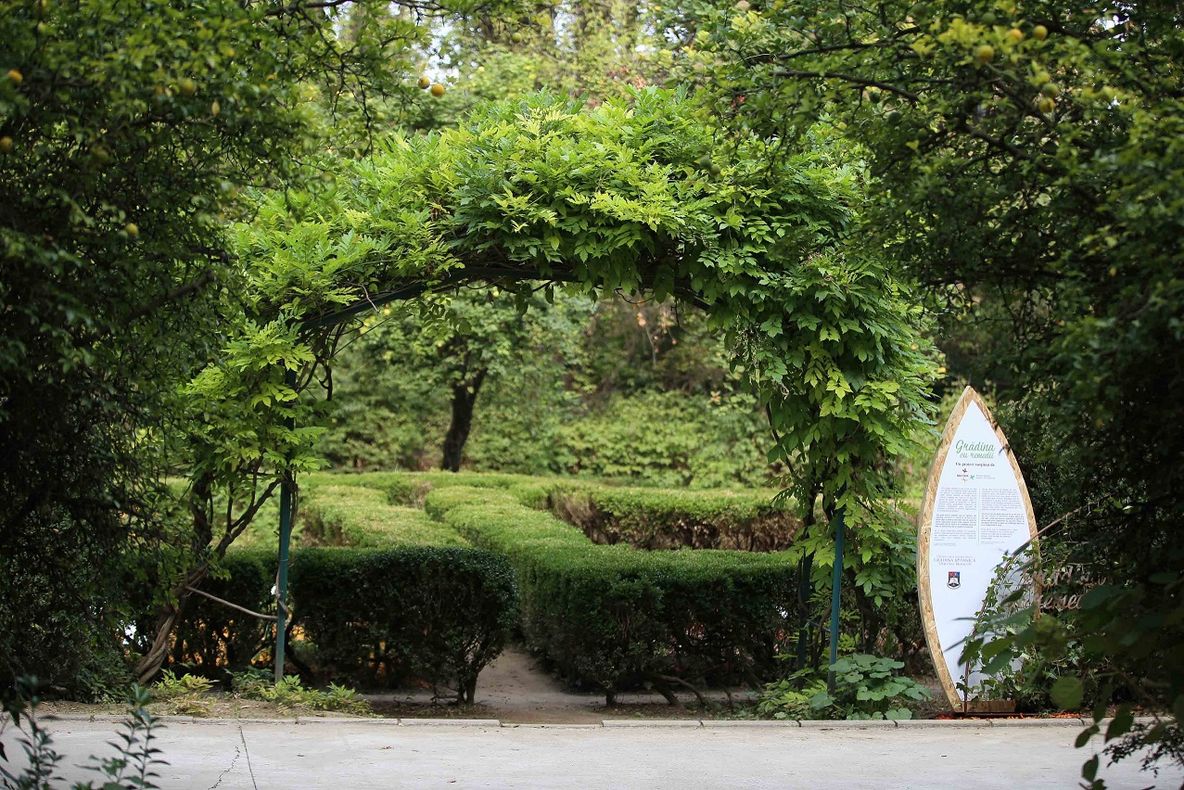 Secom® a finalizat amenajarea sectorului de plante medicinale și utile din Grădina Botanică (P)