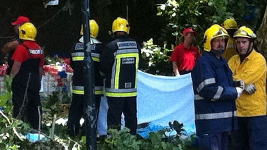 Tragedie de Sf. Maria! Un copac a ucis 12 oameni la o ceremonie religioasă