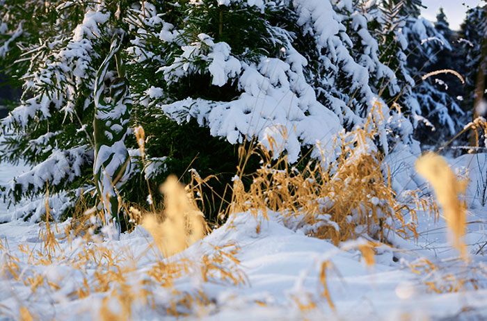 În această poză vă uitaţi, de fapt, la o femeie goală. Vedeţi unde e? Doar 1 din 50 de oameni ştie
