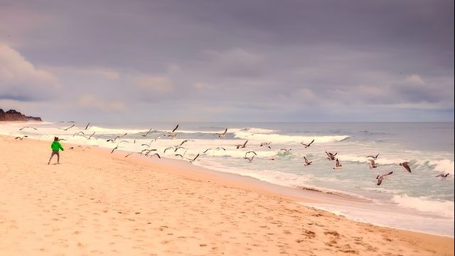 Weekend canicular în sud! Cum va fi vremea pe litoral, la munte și în principalele regiuni