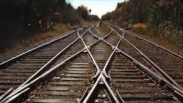 Trafic întârziat, după o apariţie neobişnuită pe calea ferată: Credeți că șeful meu va crede asta?