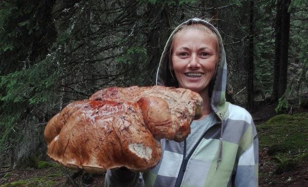 Au găsit o ciupercă gigant pe Transfăgărăşan. Au aruncat-o imediat! Ce era, de fapt?