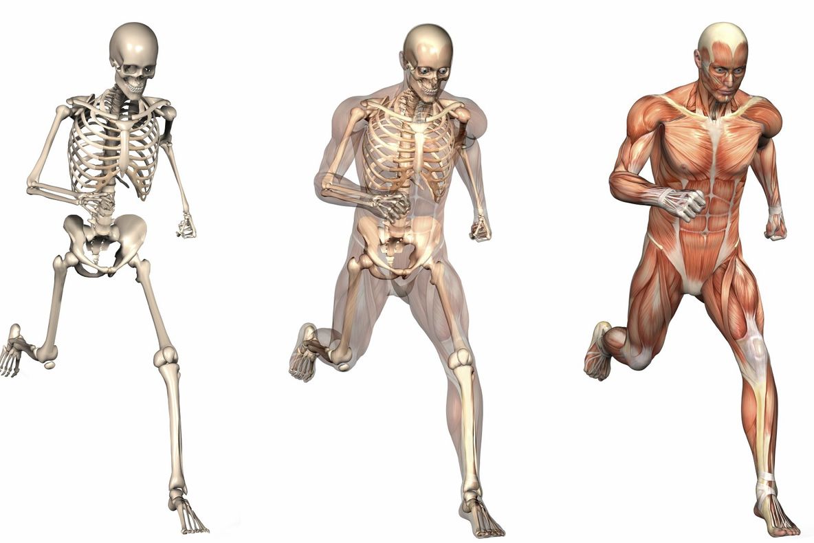 Avertismentul medicilor: Acesta aliment "ne roade precum rugina"