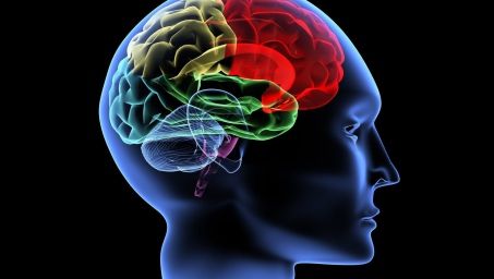 Aceasta este singurul lucru pe care trebuie să îl faci pentru a deveni mai inteligent