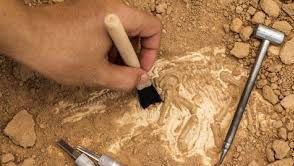 A fost descoperit primul "4x4" din lume. Are 2400 de ani vechime. Cum arată