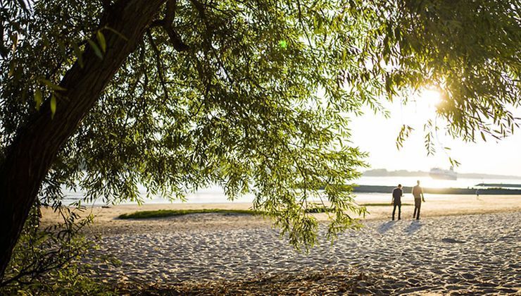 A găsit pe plajă "o piatră semiprețioasă". Când a aflat acasă ce e de fapt era prea târziu