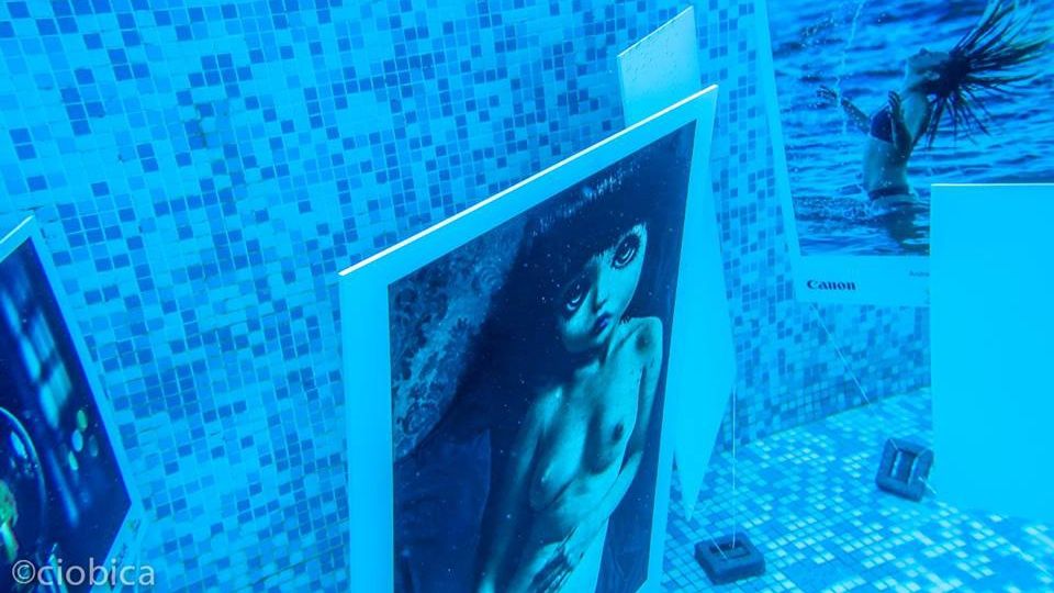 VIDEO. Primul vernisaj foto subavatic din România. Expoziţia e unică în Europa 