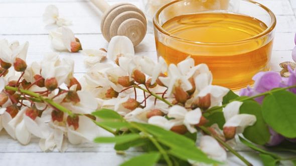 Cinci afecţiuni pe care le poţi trata cu flori de salcâm