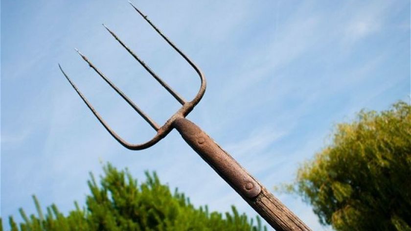 Polițiști atacați cu furca. A fost nevoie de intervenția mascaților, s-au tras focuri de armă