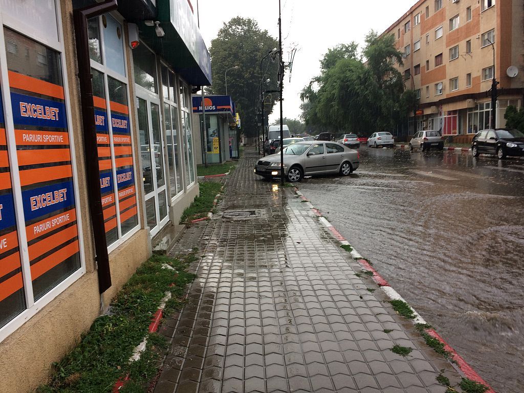 Furtună în Vrancea. O femeie a ajuns la spital, lovită de o creangă. Acoperișuri, avariate