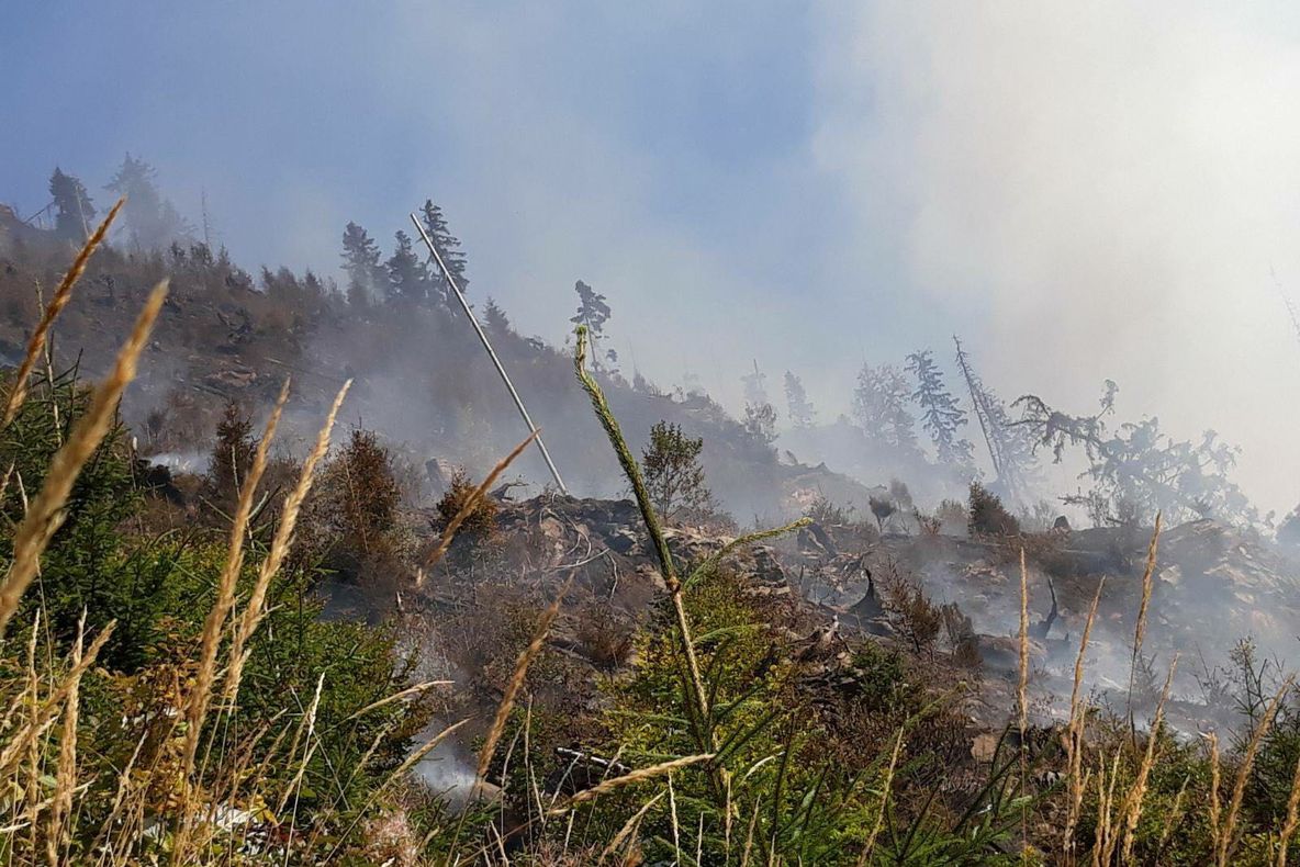 Incendiu puternic în Bistrița-Năsăud. Au ars opt hectare de pădure