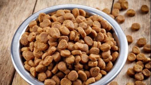 Ce se întâmplă dacă guști din mâncarea câinelui sau a pisicii