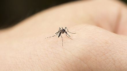 A primit o sumă colosală pentru că a fost mușcat de un țânțar la muncă