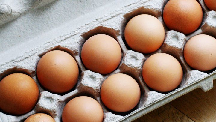 Ce este, de fapt, FIPRONIL, pesticidul din mijlocul scandalului ouălor. Şi tu l-ai folosit cândva!