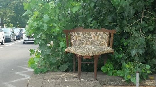 Se întâmplă în Constanța! Iată ce au văzut locuitorii pe stradă