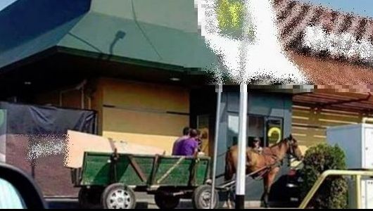 INCREDIBIL! Doi gălățeni s-au dus să comande hamburgeri direct din... căruță