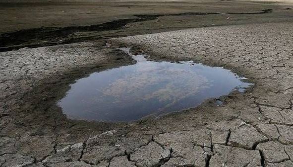 SECETA le dă bătăi de cap agricultori români: oamenii iau MĂSURI EXTREMĂ