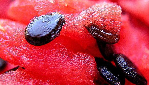 Nu mai arunca semințele fructelor! Consumul lor ne poate îmbunătăți sănătatea