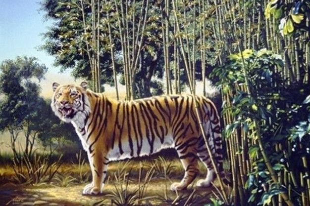 E considerat cel mai greu PUZZLE de până acum. Doar 1% din oameni descoperă cel de-al doilea TIGRU